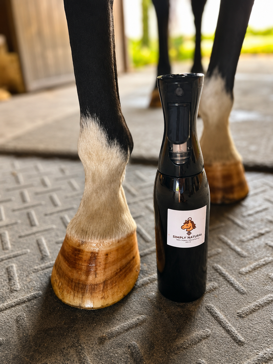 Hoof Oil