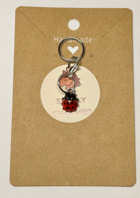 Silver ladybug