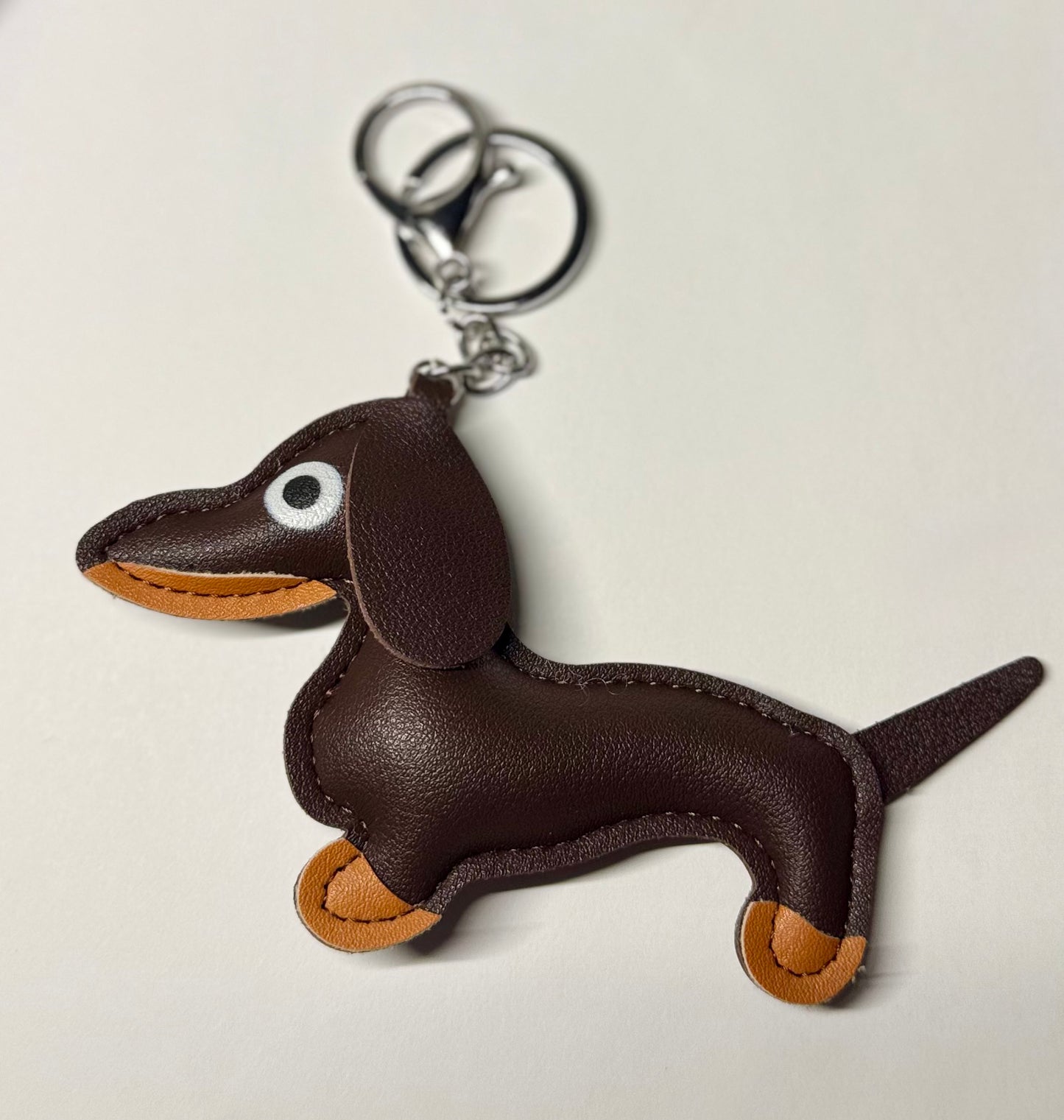 Dachshund